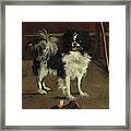 Tama, The Japanese Dog, 1875 Framed Print