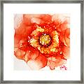 Tangerine Wild Rose Framed Print