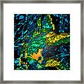 Tangled Transformation 4 Framed Print