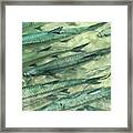 Tarpon Together Framed Print