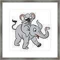 Teddy Rides An Elephant Framed Print