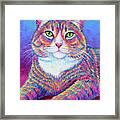 Teddy The Colorful Brown Tabby Cat Framed Print