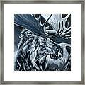 Teton Springs Moose Framed Print