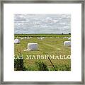 Texas Marshmallows Framed Print