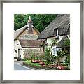 Thatched Cottages In Dorset Framed Print