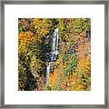 The Autumn Colors Of Letchworth State Park Framed Print