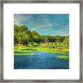 The Bayamo River Framed Print