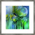 The Beautiful Life Of A Bug Framed Print
