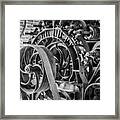 The Beauty Is In The Details Framed Print