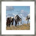 The Best View Framed Print