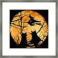 Cat..owl..witch..moon Framed Print