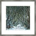 The Dark Hedges, North Ireland, Uk Framed Print