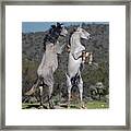 The Desert Dance. Framed Print