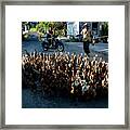 The Duck Whisperer Ii - Bali, Indonesia Framed Print