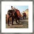 Kingdom Come. - Amber Palace, Rajasthan, India Framed Print