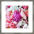 The Embrace Of Spring Framed Print