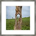 The Eye Of The Needle Framed Print