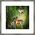 The Fairy Of The Forest Framed Print