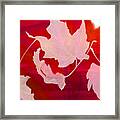 The Falling Leaves Framed Print