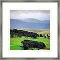 The Fields Of England Framed Print