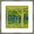 The Forest For The Trees Framed Print