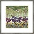 The Gallop Framed Print