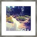 The Garden Path. Framed Print