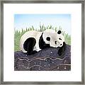 The Giant Panda Humming A Song Framed Print