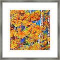 The Golden Autumn Framed Print