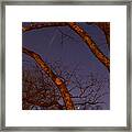 The Great Conjunction Of Jupiter And Saturn Framed Print