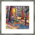 The Grove Of The Old Trees Framed Print