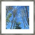 The Heights Framed Print