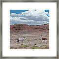 The High Desert. Framed Print