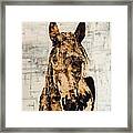 The Horse Framed Print