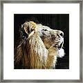 The King Framed Print