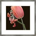 The Kiss, Togetherness - Rough And Tender, Ugly And Beauty Framed Print