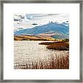 The Lake Shore Framed Print