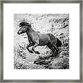 The Leap Ii - Horse Art Framed Print