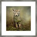 The Littlest Pack Member Framed Print