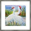The Locals Framed Print