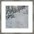 The Loners Path -2 Framed Print
