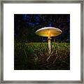 The Magic Mushroom Framed Print