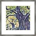 The Mighty Oak Tree Framed Print