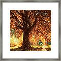 The Mighty Tree Framed Print
