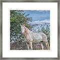 The Old Gray Mare - Rural Indiana Framed Print