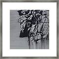 The Old Man Of The Mountain Framed Print