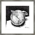 The Onion Framed Print