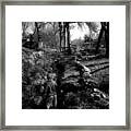 The Path To Adventure Framed Print