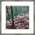 The Point Trail Infrared Framed Print