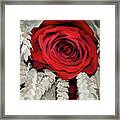 The Red Rose On A Bed Of Wheat Framed Print